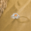 Picture of 925 Silver Elephant Ring